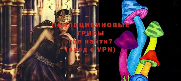 соль ск Семёнов